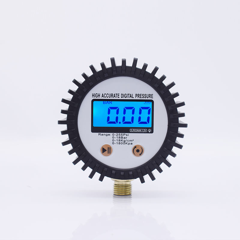 SEAPENG DP-B04 Digital Tire Pressure Gauge 1/4'' NPT Bottom Connector LCD Display DP-B04 CN;GUA 3V Two AAA Battery CE Certified