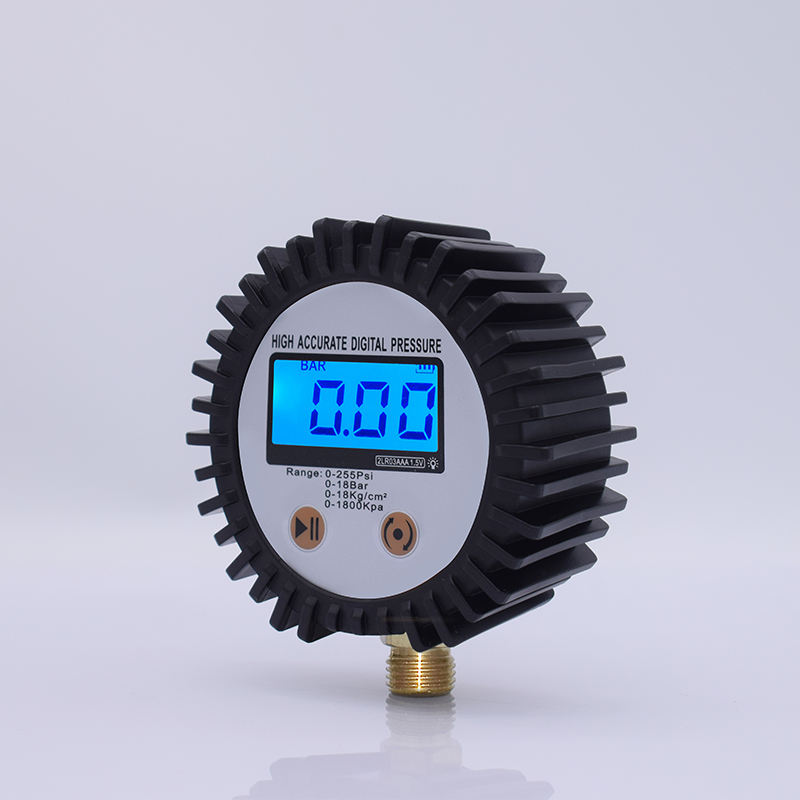 SEAPENG DP-B04 Digital Tire Pressure Gauge 1/4'' NPT Bottom Connector LCD Display DP-B04 CN;GUA 3V Two AAA Battery CE Certified